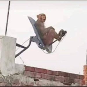 بهترین نصاب آنتن ماهواره ولنجک 09356045790 آصف