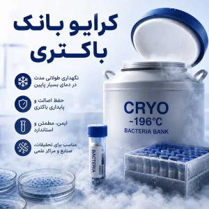 کرایو بانک باکتری