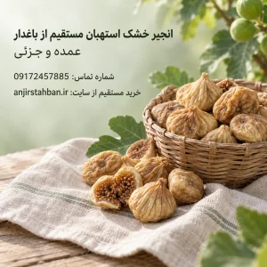 خرید انجیر خشک استهبان مستقیم از باغدار | فروش عمده و جزئی